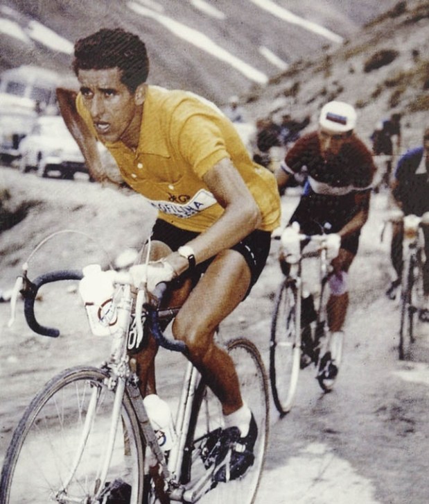 74119E0D-E1CB-FE7B-D1719E9F6CCC3A0A