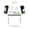 Dimension Data