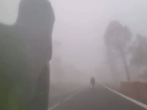 Descenso Alberto Contador